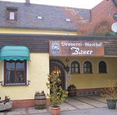 bauer